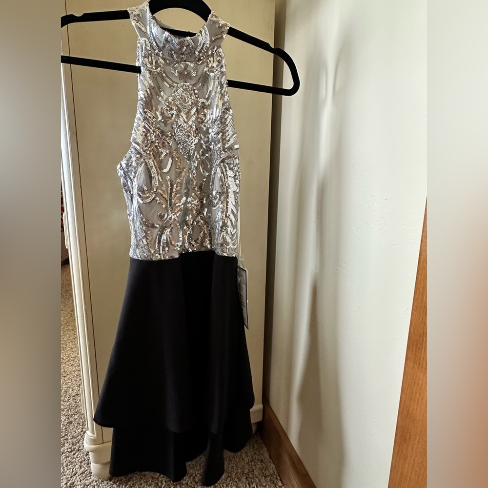 Elegant Silver and Black Gown